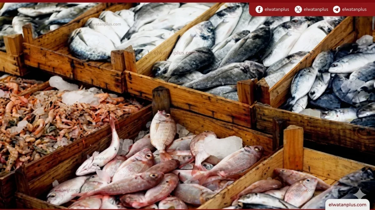 أسعار الأسماك