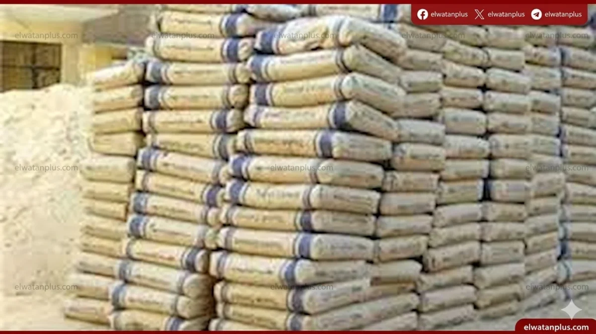 أسعار الأسمنت اليوم