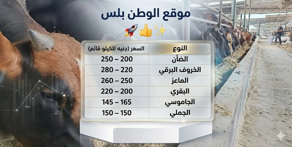 أسعار الأضاحي 2026 في مصر اليوم 27 أبريل تشهد تباينا مع اقتراب عيد الأضحى وزيادة الطلب