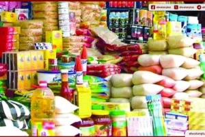 أسعار الفول