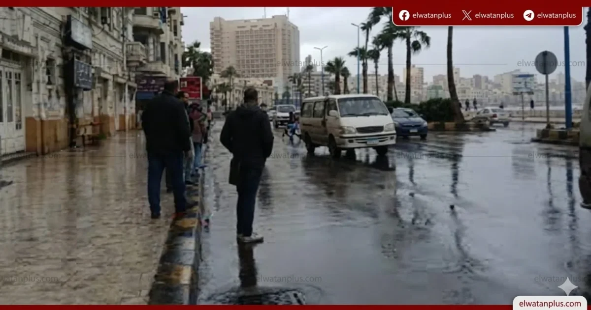 أمطار خفيفة بالقاهرة وتحذيرات من تقلبات جوية وأتربة