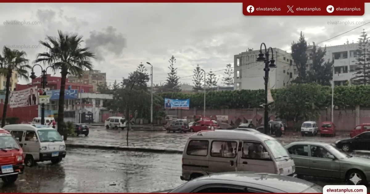 أمطار متوسطة في الجيزة وتحذيرات من طقس غير مستقر اليوم