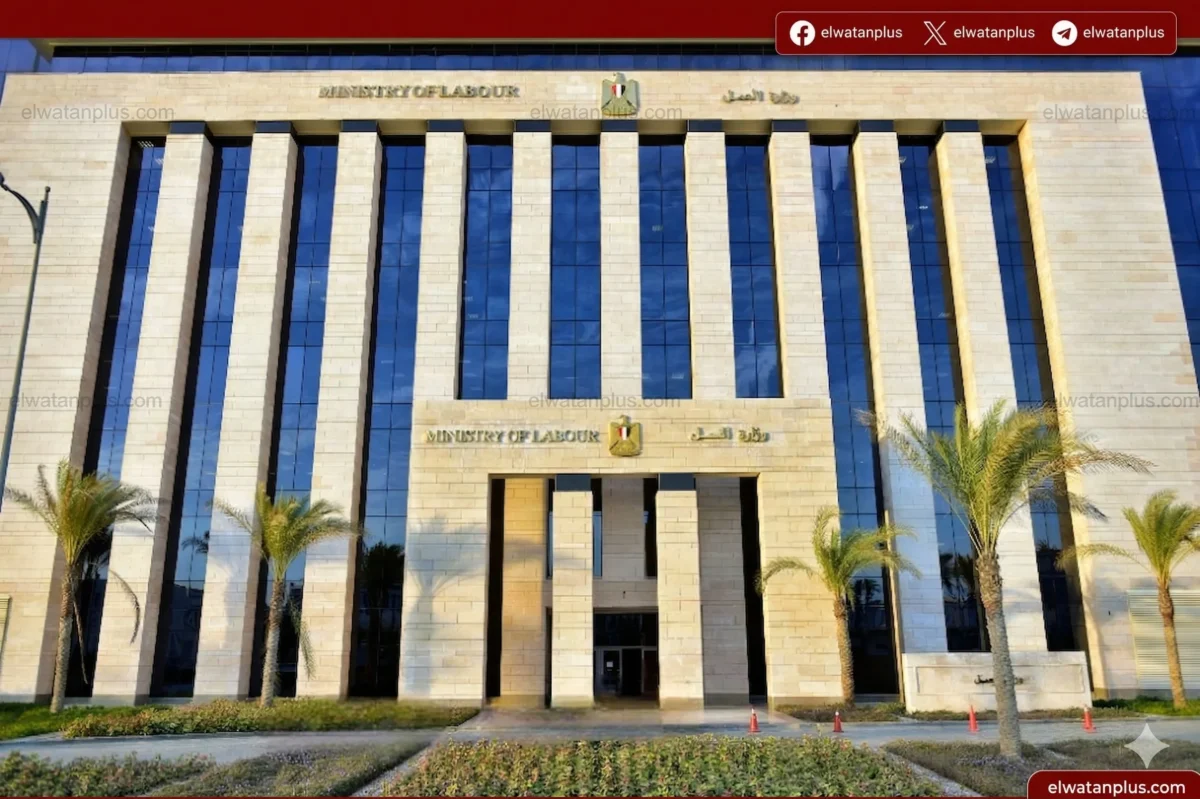 أنشطة تدريبية لوزارة العمل في قنا والوادي الجديد