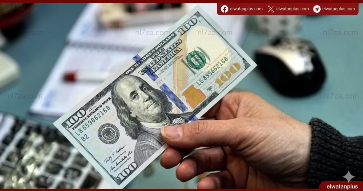 استقرار الدولار أمام الجنيه فى بداية تعاملات الأربعاء