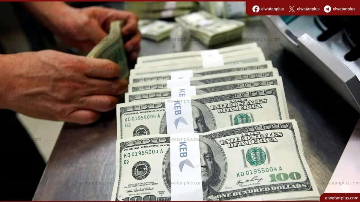 استقرار سعر الدولار أمام الجنيه المصري في تعاملات الأربعاء