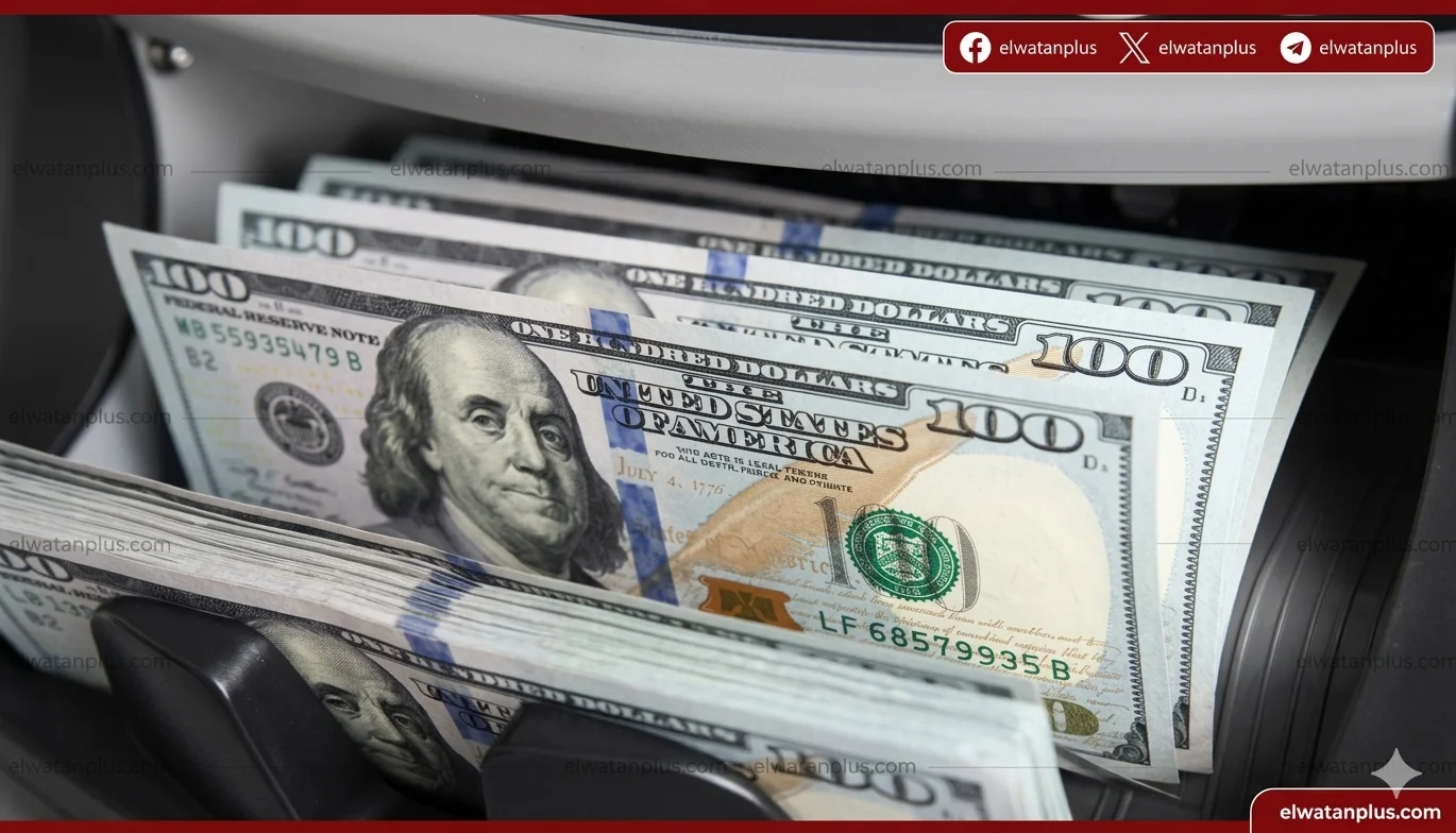 استقرار سعر الدولار أمام الجنيه اليوم بالبنوك المصرية