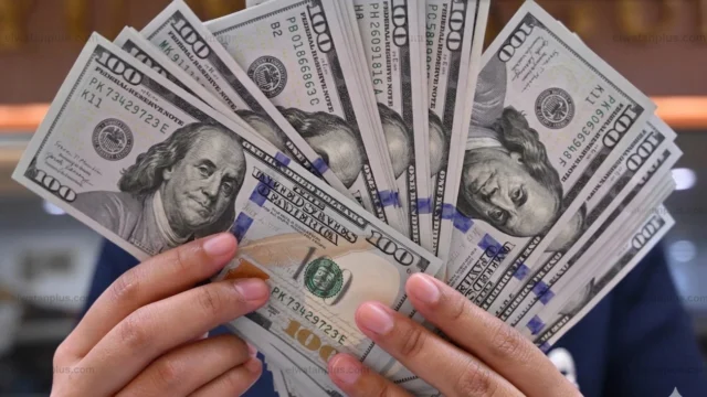 استقرار سعر الدولار في البنوك المصرية اليوم السبت 25 أبريل 2026