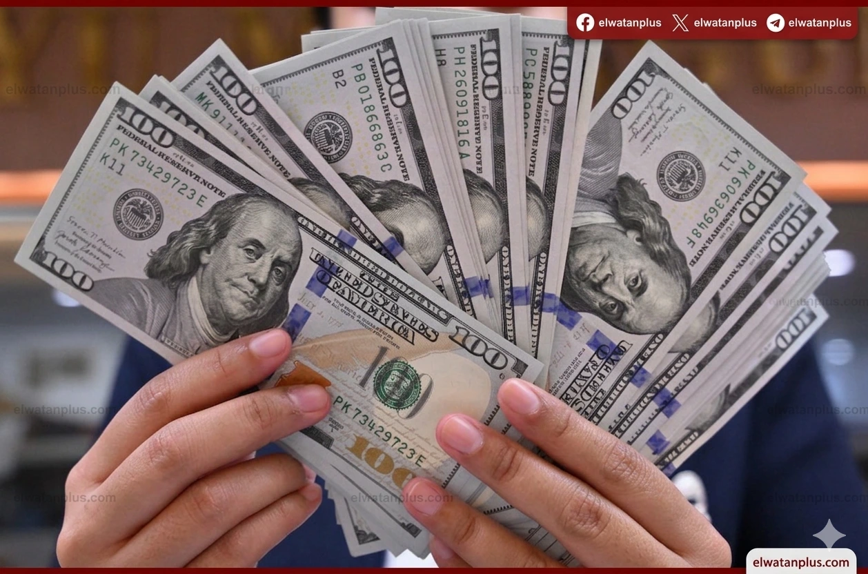 استقرار سعر الدولار في البنوك المصرية اليوم السبت 25 أبريل 2026