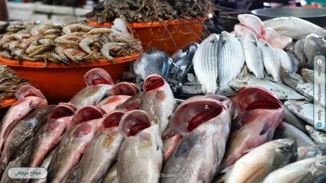 اسعار الاسماك