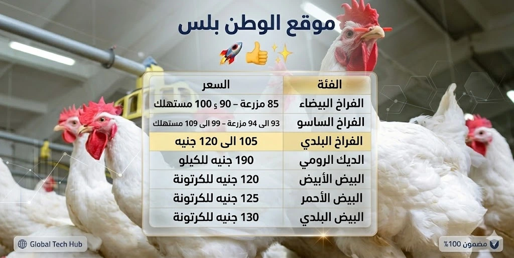 اسعار الفراخ البيضاء.. أسعار الدواجن والبيض اليوم في مصر