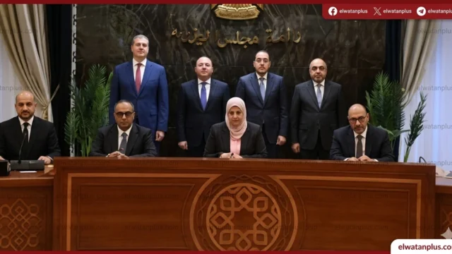 الاستثمار في مصر