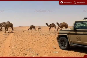 الامن البيئي