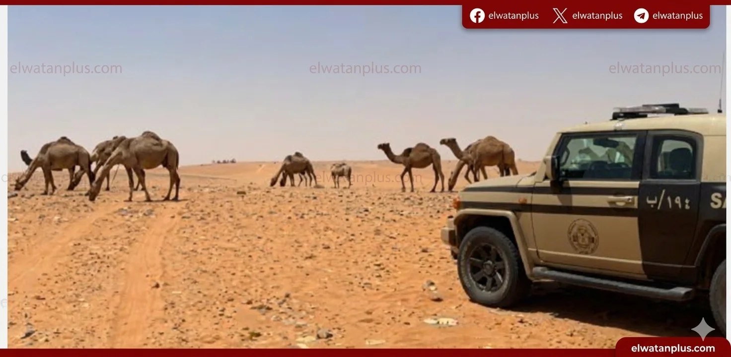 الامن البيئي