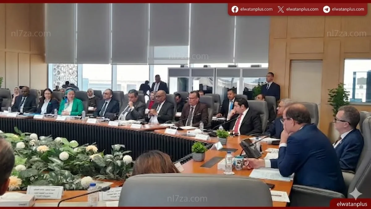 التضامن تشارك بورشة مالية في بني سويف