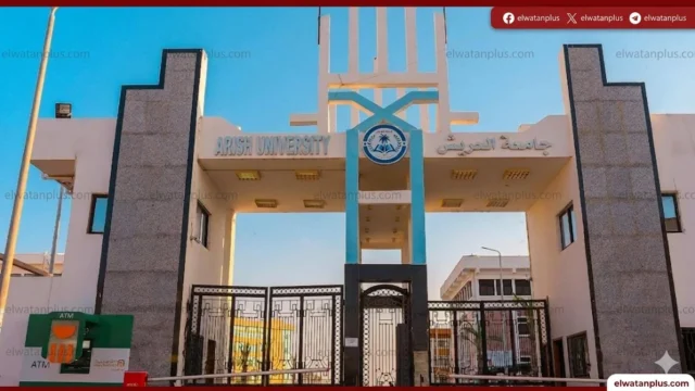 التعليم العالي