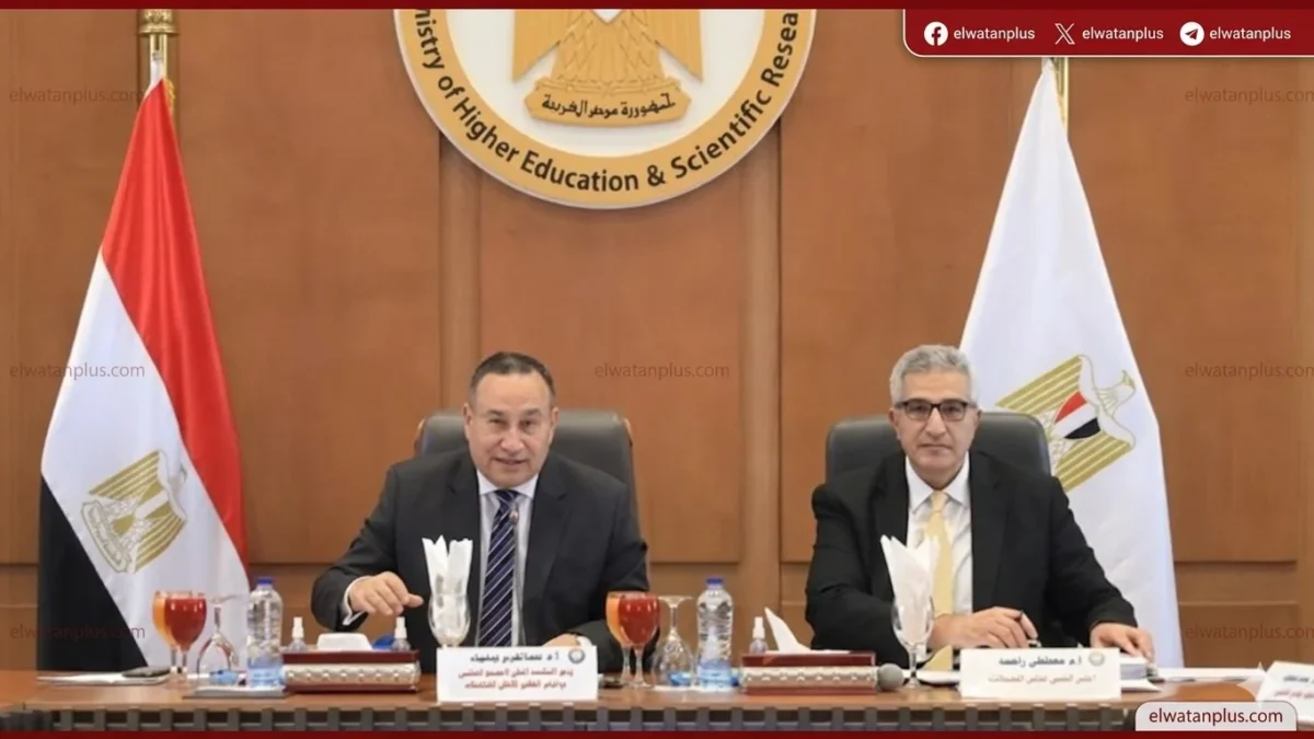 التعليم العالي