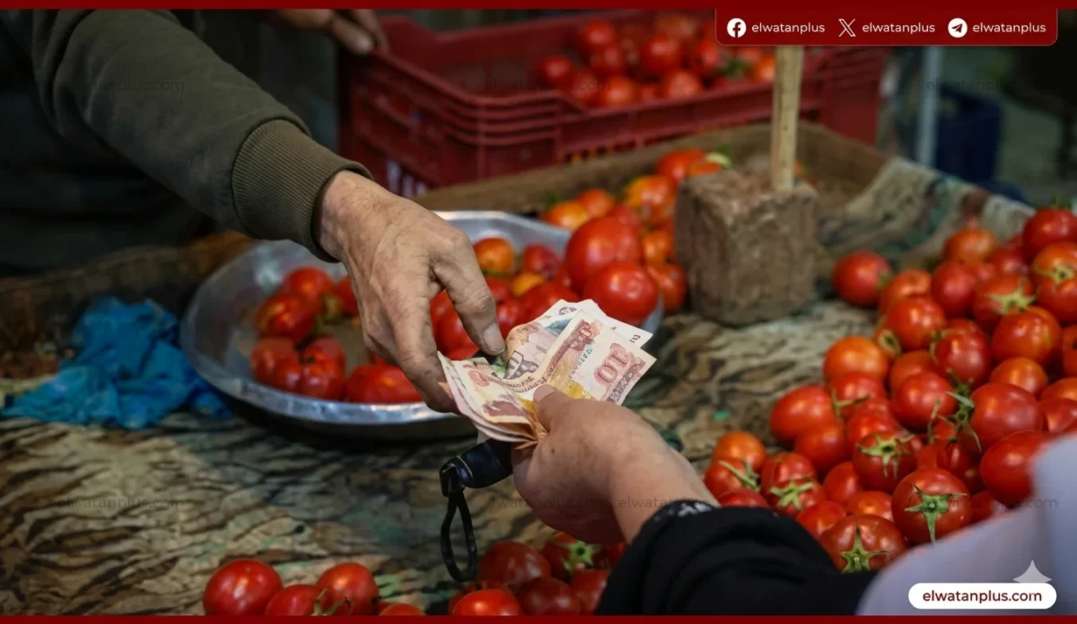 التموين تطرح الطماطم بـ20 جنيهًا وتبدأ صرف مقررات أبريل للمواطنين