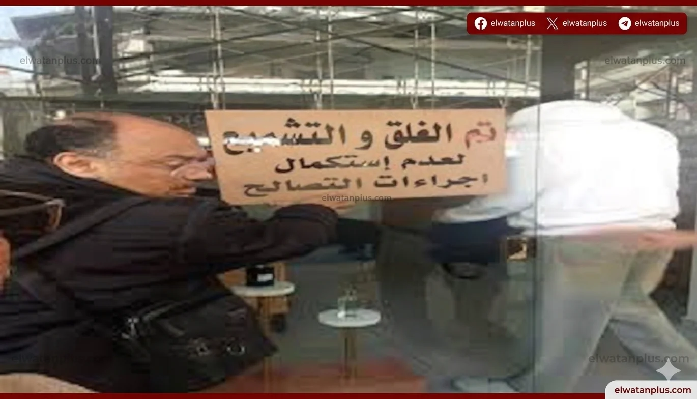 التنمية المحلية