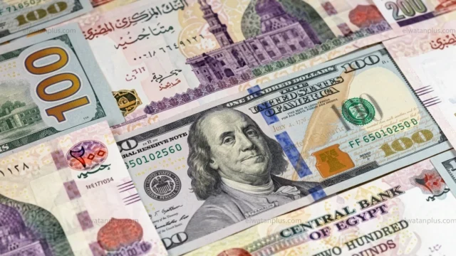 الدولار الامريكي