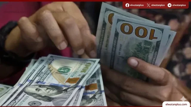 الدولار يستقر قرب 53 جنيها وسط ترقب السوق