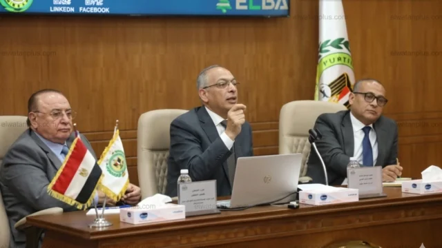 الرقابة على الصادرات