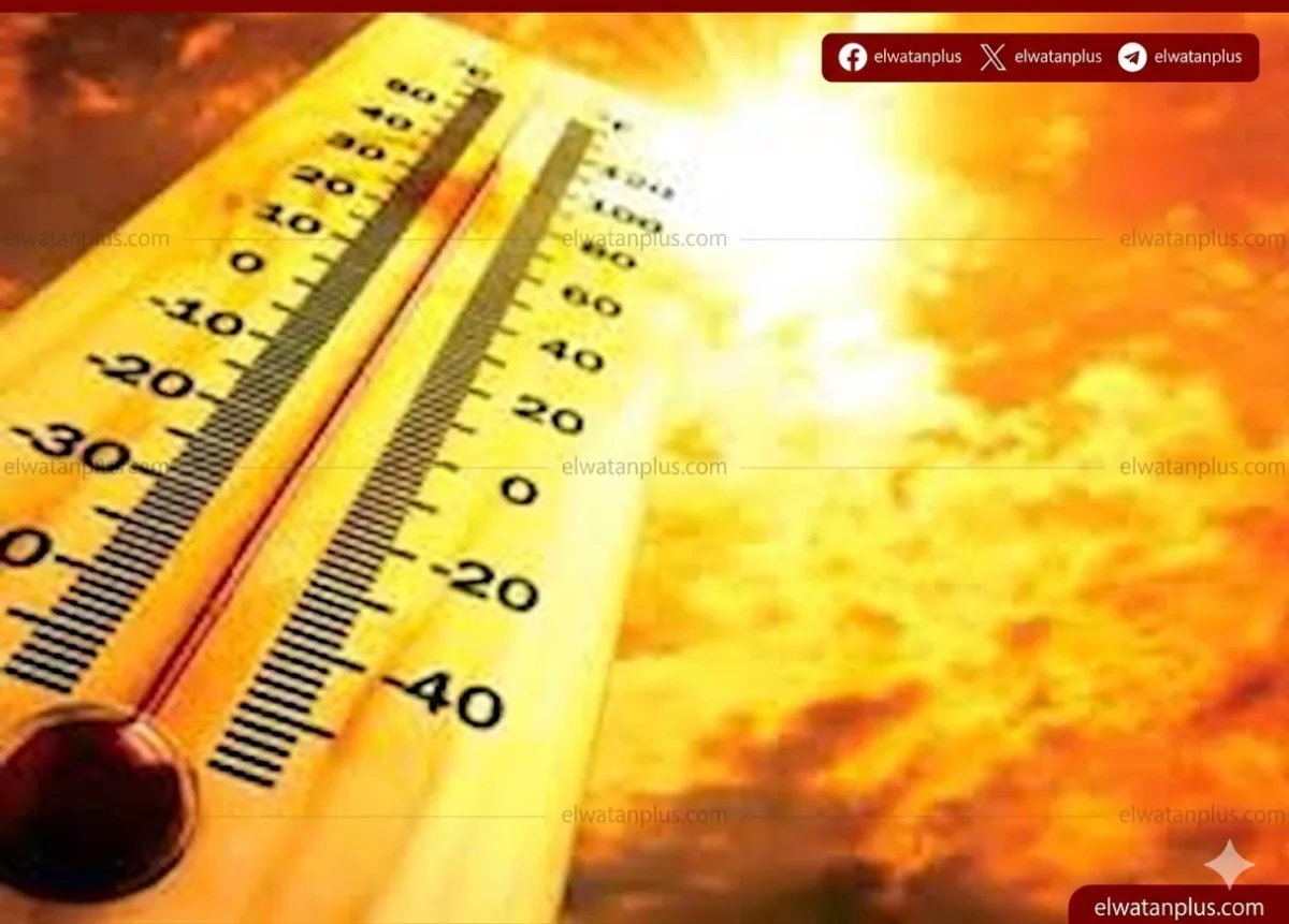 الطقس في مصر