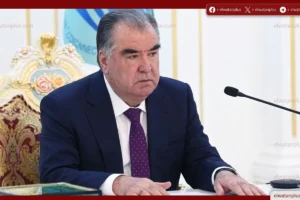 العلاقات المصرية الطاجيكية