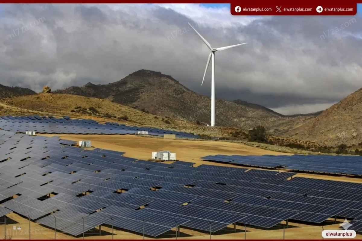 الكهرباء: استثمارات جديدة في الطاقة المتجددة والتخزين