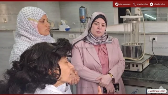 الهيئة المصرية