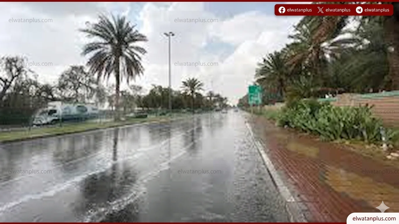 امطار الباحة