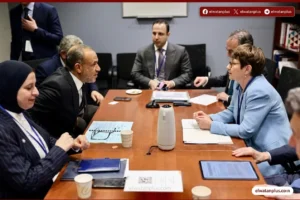 بدر عبد العاطي