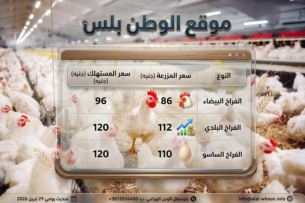 بورصة الدواجن اليوم