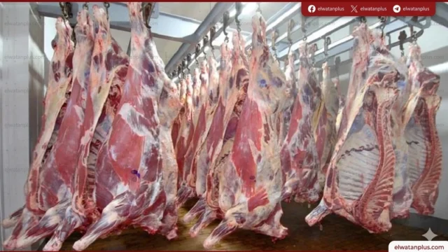 تباين أسعار اللحوم في كفر الشيخ اليوم الخميس 30 أبريل 2026 بين البلدية والمستوردة