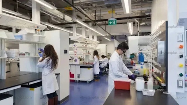 تحاليل مخبرية البيئة السعودية 2025