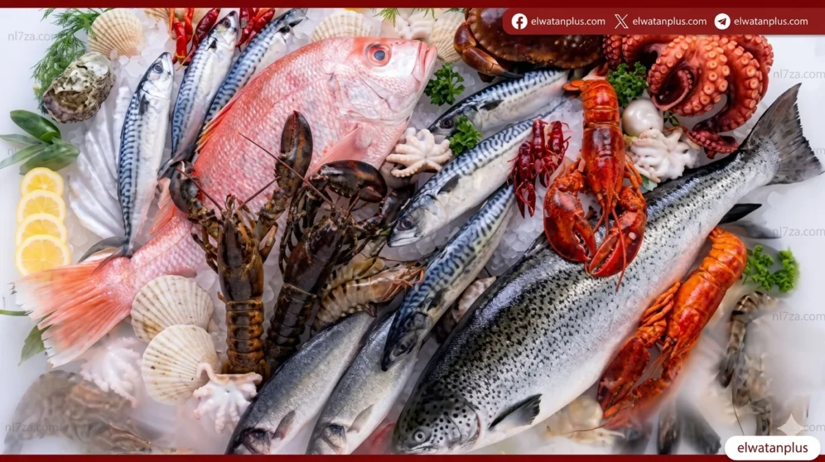 تراجع الجمبري والأسماك مع ارتفاع بعض الأصناف