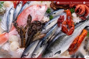 تراجع الجمبري والأسماك مع ارتفاع بعض الأصناف