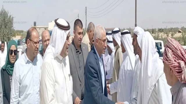 تنمية المشروعات