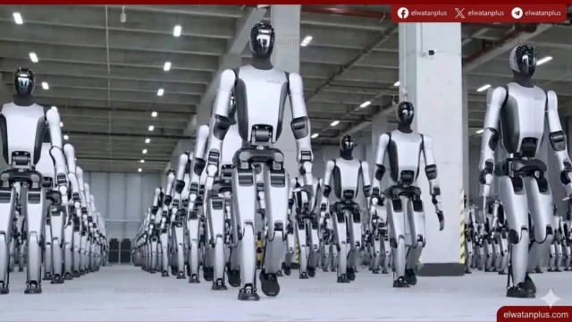 روبوتات بشرية في مطار هانيدا