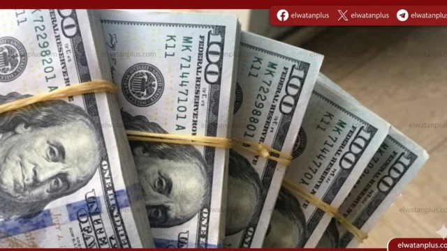 سعر الدولار