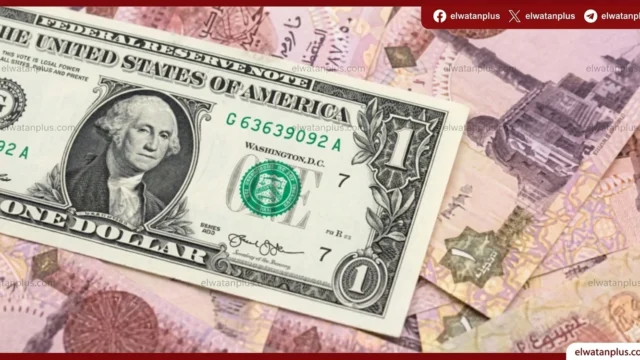 سعر الدولار