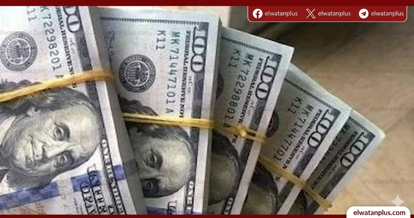 سعر الدولار اليوم في مصر 30 4 2026
