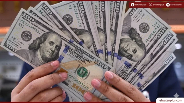 سعر الدولار اليوم في مصر 30 ابريل 2026
