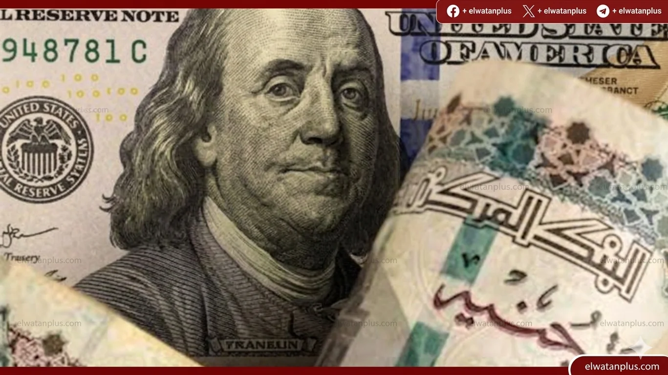 سعر الدولار مقابل الجنيه المصري اليوم