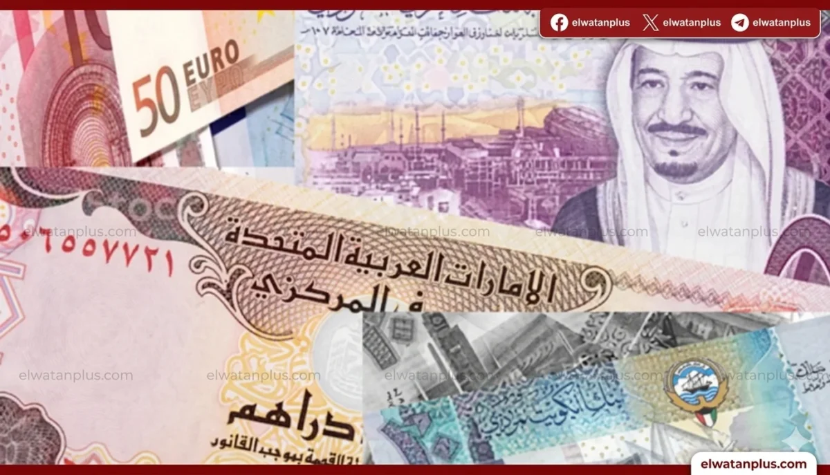 سعر الريال القطري مقابل الجنيه المصري اليوم