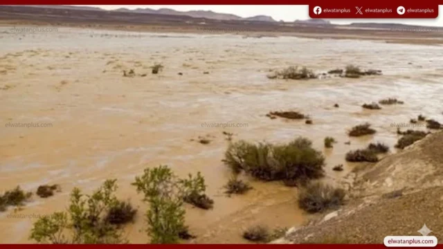 سيول شمال سيناء اليوم دون خسائر