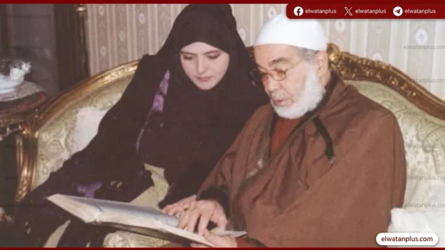 شمس البارودي