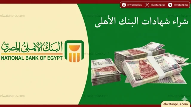 شهادات ادخار