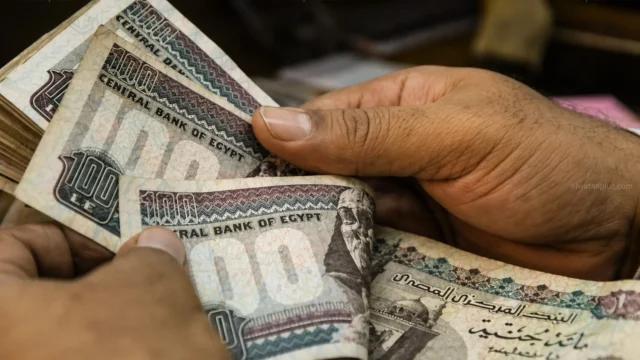 صرف رواتب مايو 2026