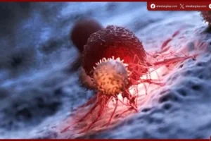 عادات يومية تضعف المناعة تدريجيا