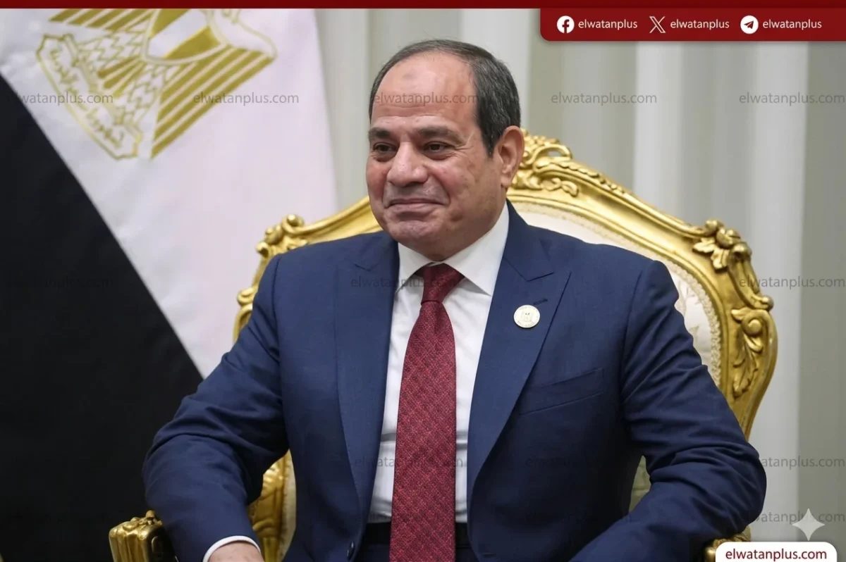 قوانين البترول الجديدة في مصر 2025